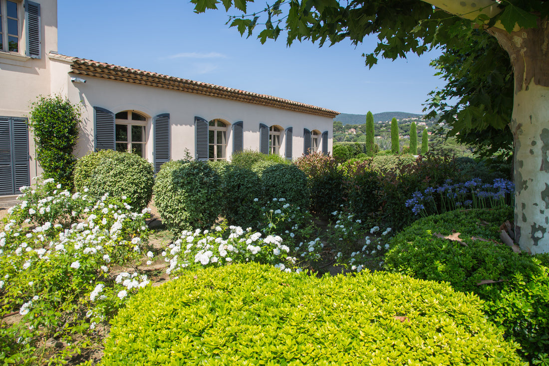 The Herb Garden