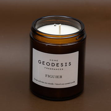 Fig Tree Candle  from Geodesis